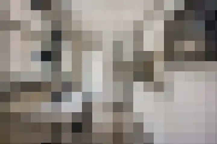 Margrietstraat 10 Gendt thumbnail 19