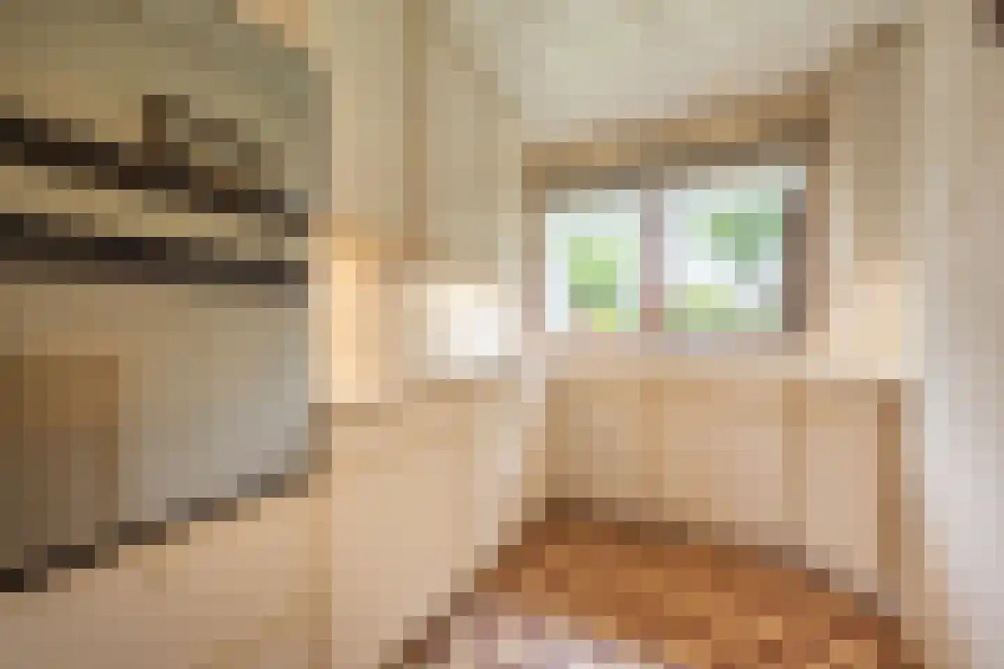 Margrietstraat 10 Heinenoord thumbnail 13