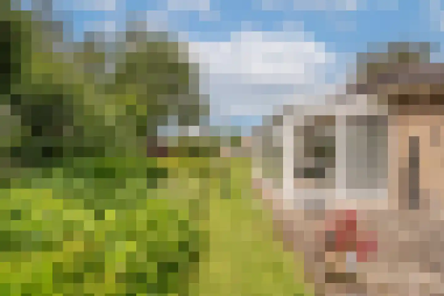 Margrietstraat 10 Heinenoord thumbnail 31