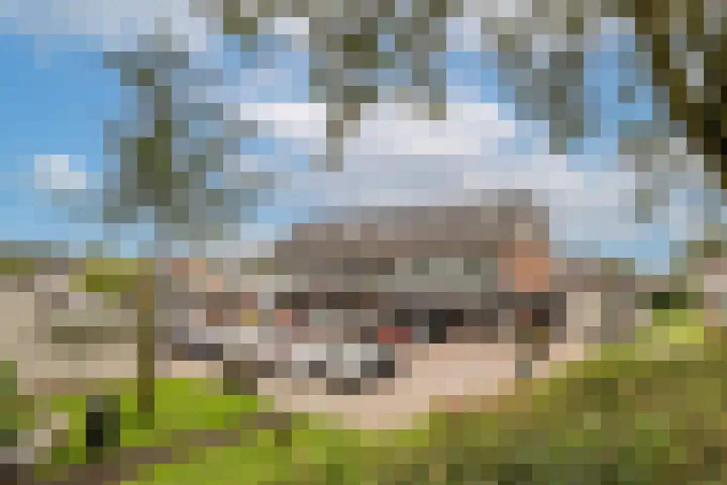 Margrietstraat 10 Heinenoord thumbnail 35