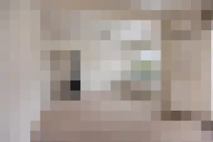 Margrietstraat 10 Zetten thumbnail 13