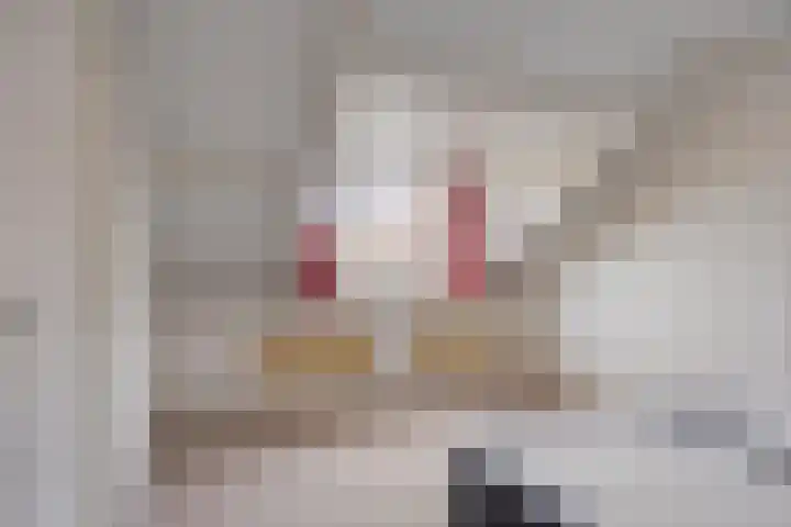 Margrietstraat 10 Zetten thumbnail 24