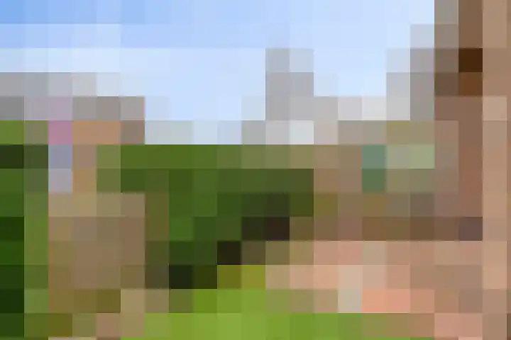 Margrietstraat 10 Zetten thumbnail 29