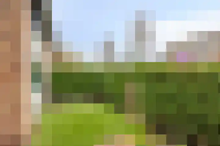 Margrietstraat 10 Zetten thumbnail 30