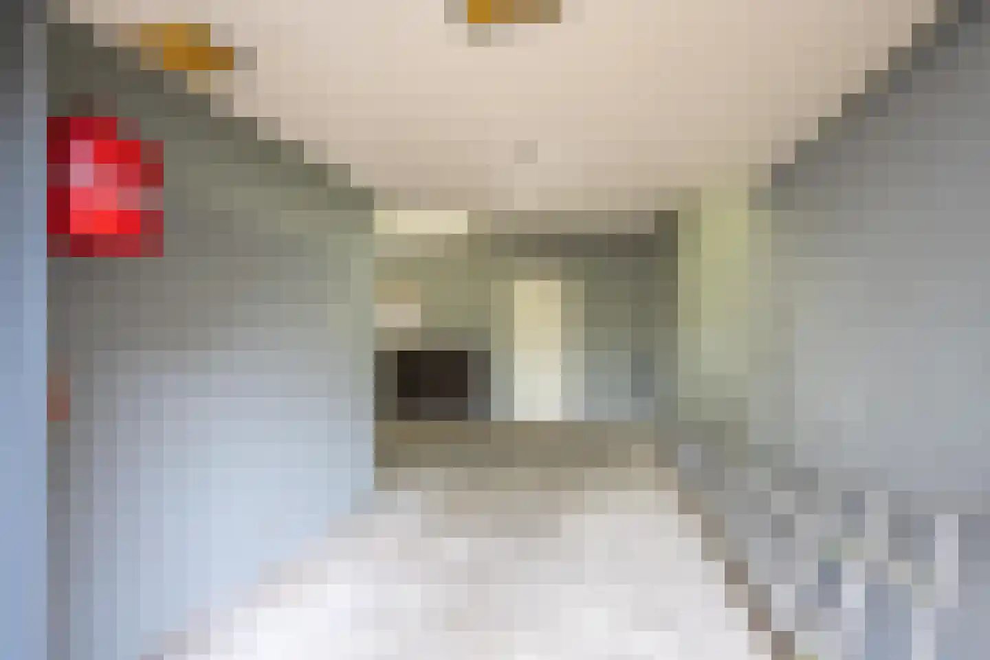 Margrietstraat 11 a Dreumel thumbnail 18