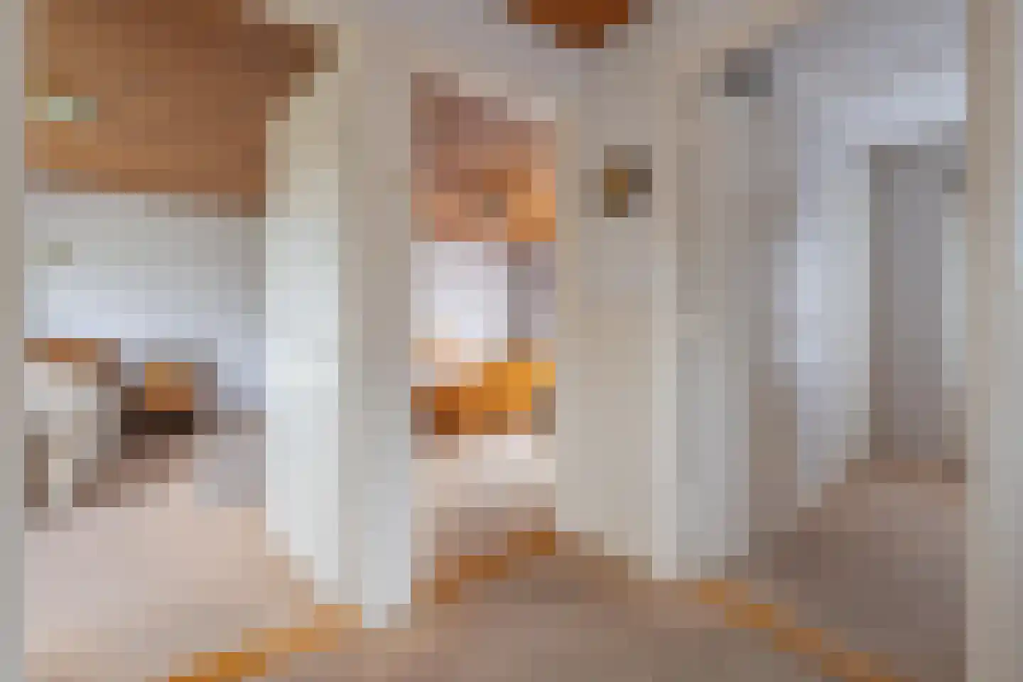 Margrietstraat 11 a Dreumel thumbnail 29