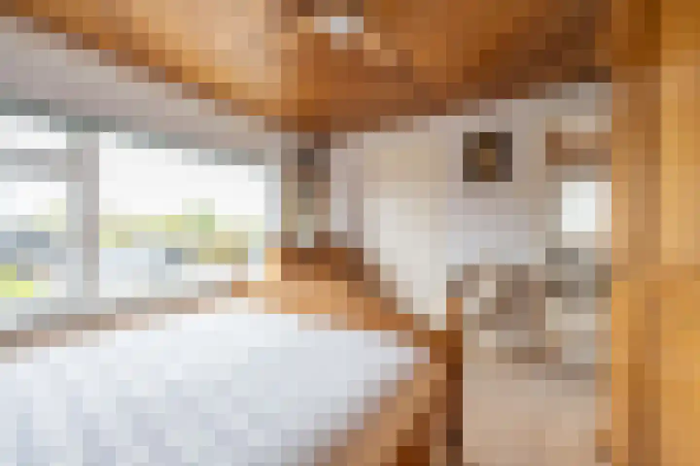 Margrietstraat 11 a Dreumel thumbnail 31