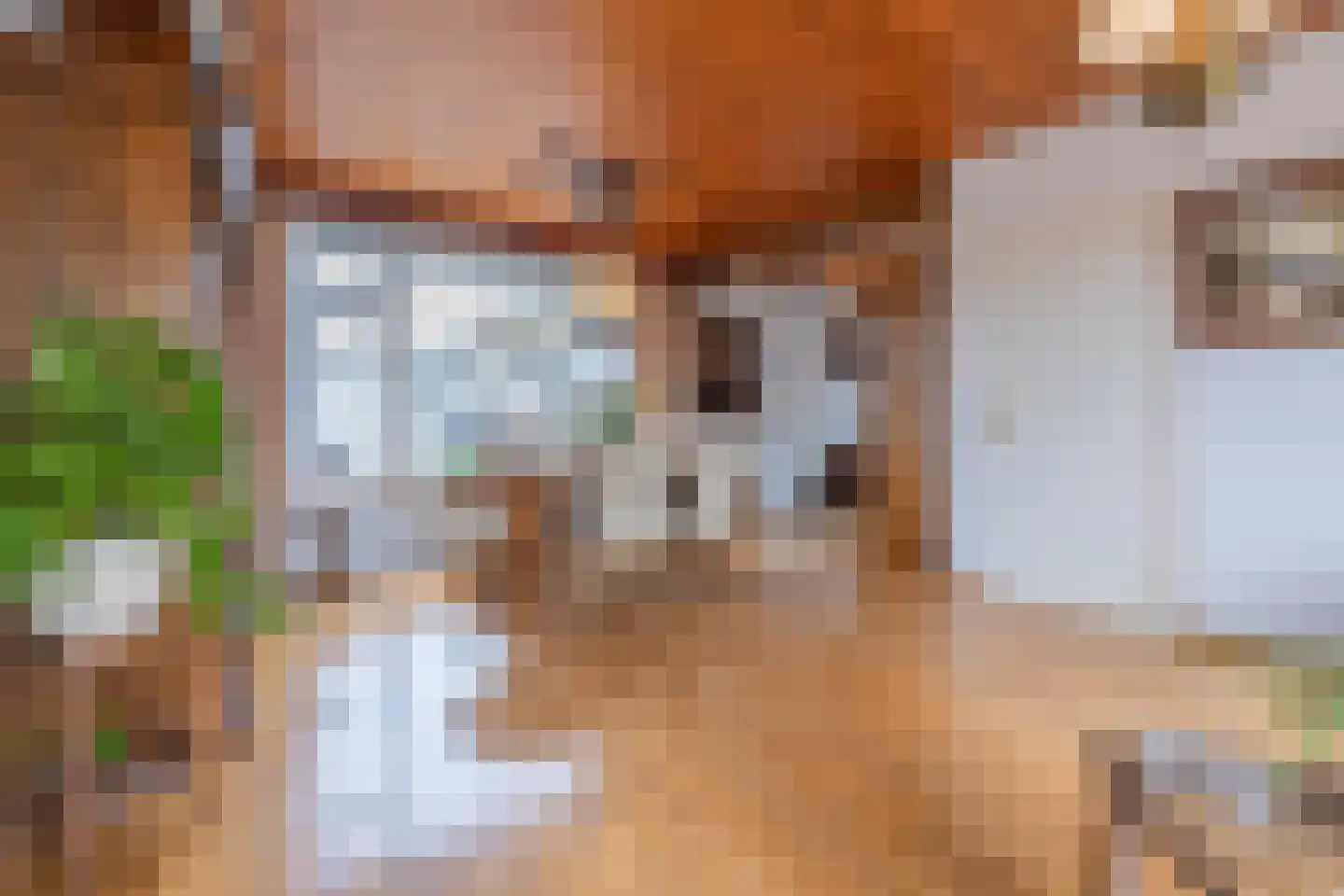 Margrietstraat 11 a Dreumel thumbnail 5