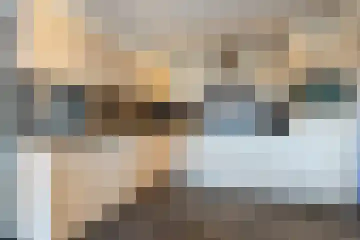 Margrietstraat 12 A St. Willebrord thumbnail 9