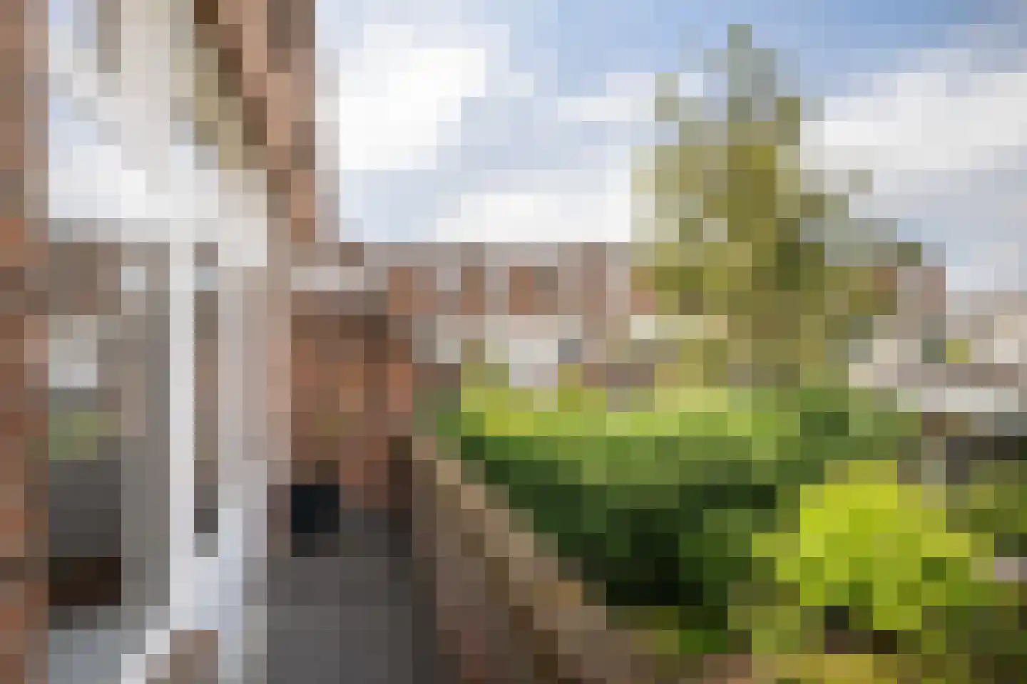 Margrietstraat 12 B Rotterdam thumbnail 20