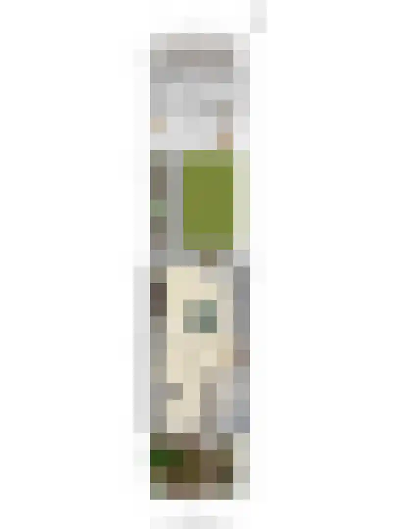 Margrietstraat 12 Mierlo thumbnail 6