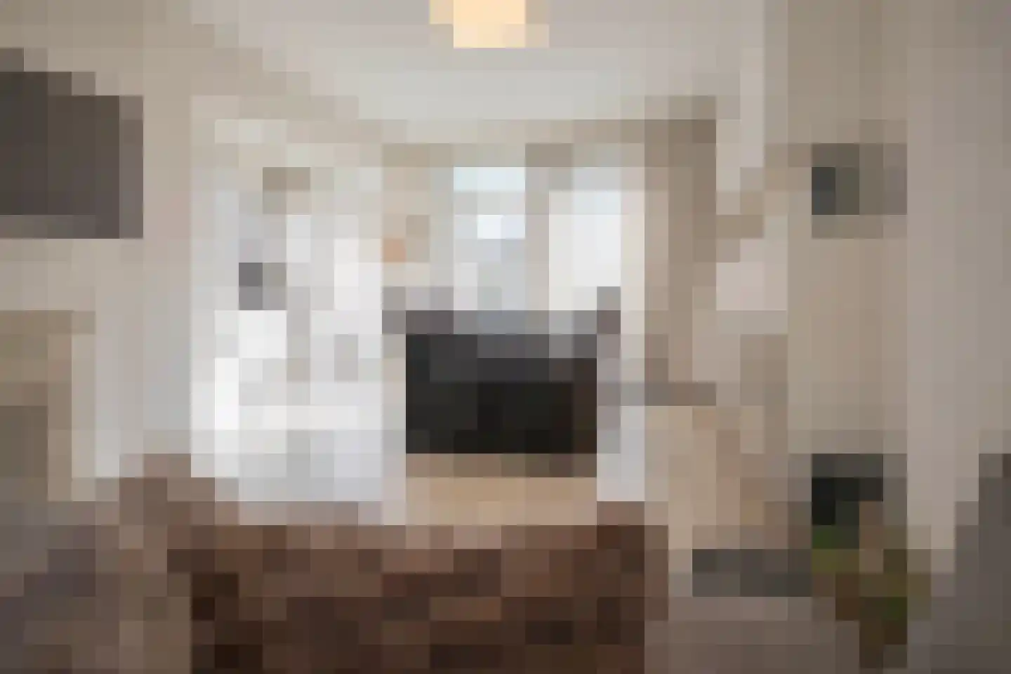 Margrietstraat 13 Arnhem thumbnail 14