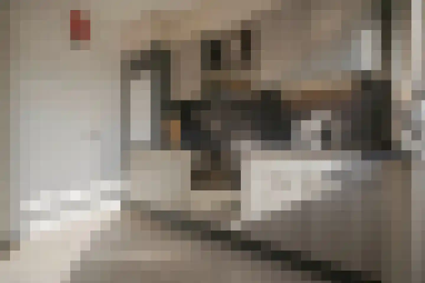 Margrietstraat 13 Arnhem thumbnail 21