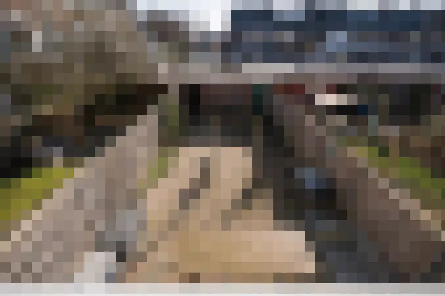 Margrietstraat 13 Arnhem thumbnail 34