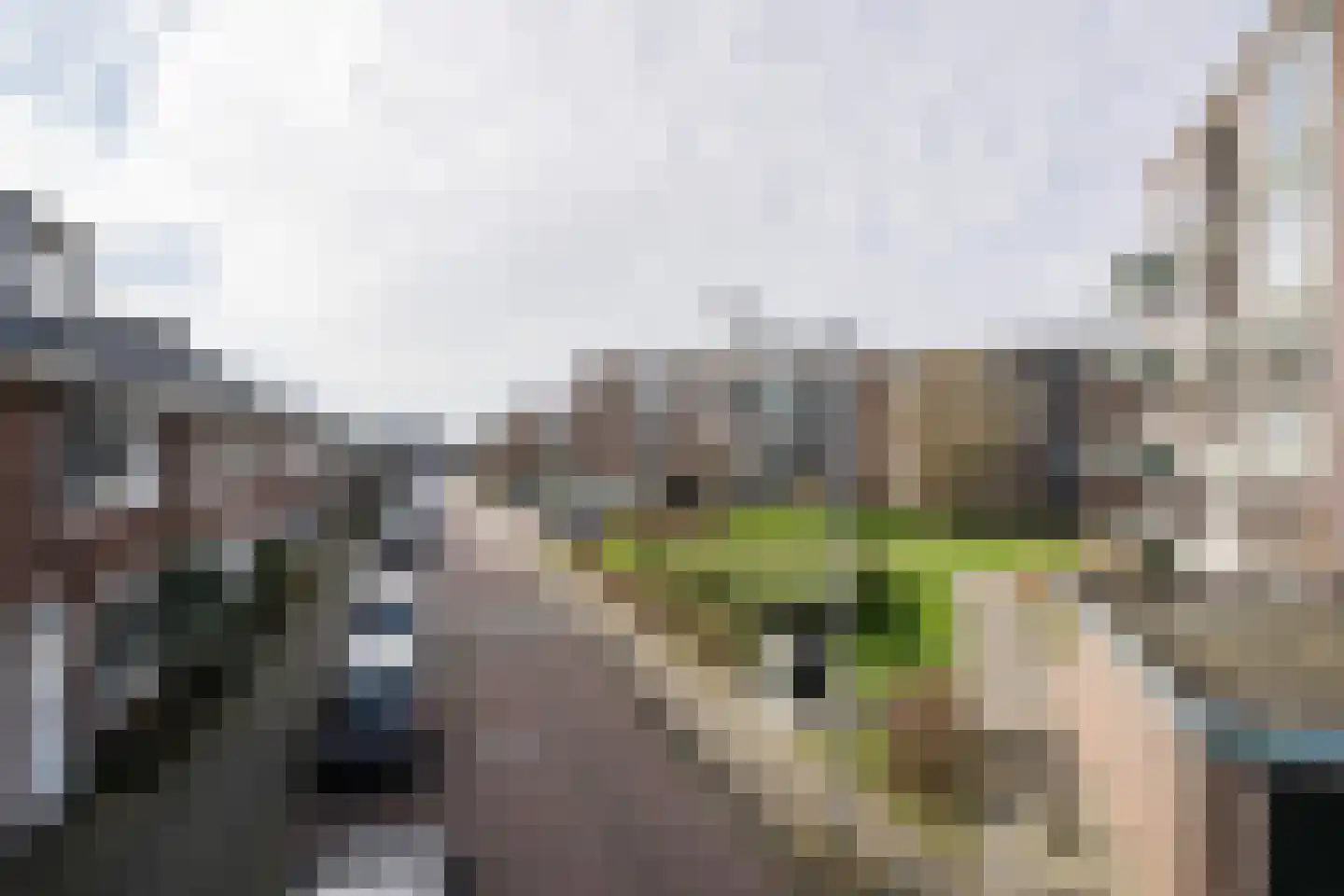 Margrietstraat 13 Arnhem thumbnail 54