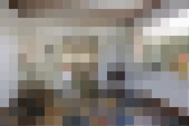 Margrietstraat 13 Bosschenhoofd thumbnail 11
