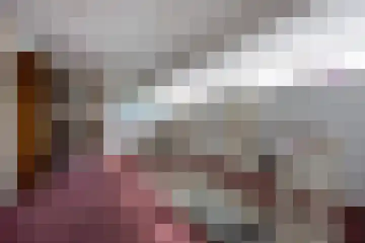 Margrietstraat 13 Bosschenhoofd thumbnail 20