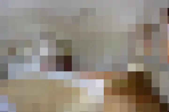 Margrietstraat 13 Bosschenhoofd thumbnail 24