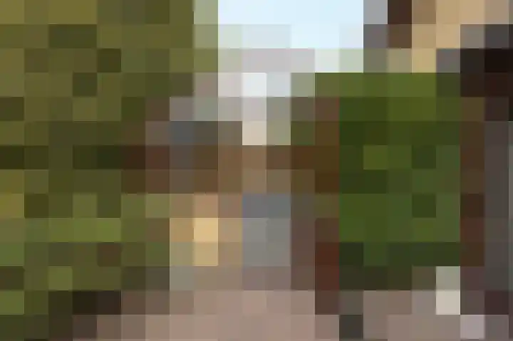 Margrietstraat 13 Bosschenhoofd thumbnail 29