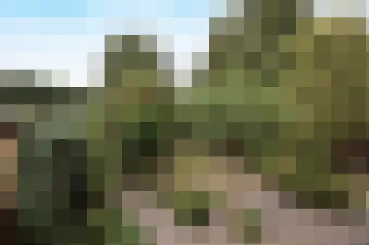 Margrietstraat 13 Bosschenhoofd thumbnail 31