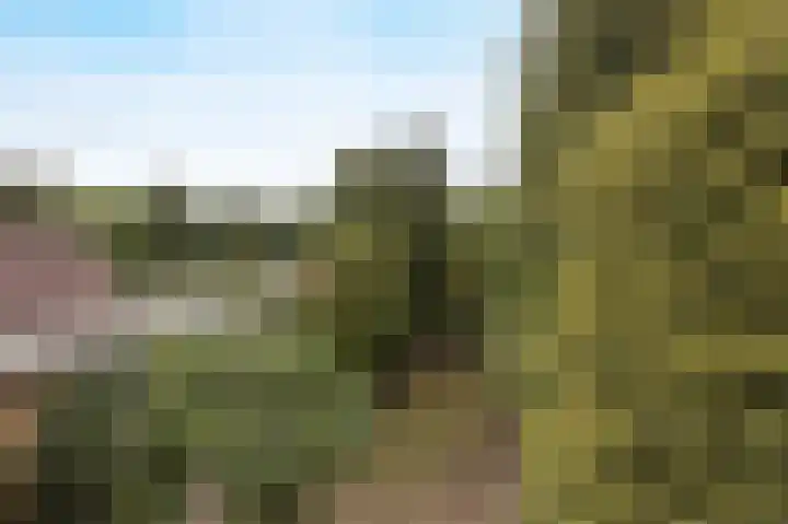 Margrietstraat 13 Bosschenhoofd thumbnail 32