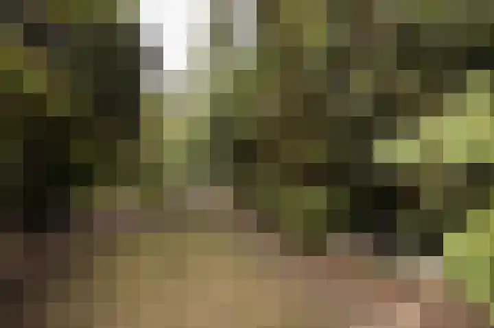 Margrietstraat 13 Bosschenhoofd thumbnail 33