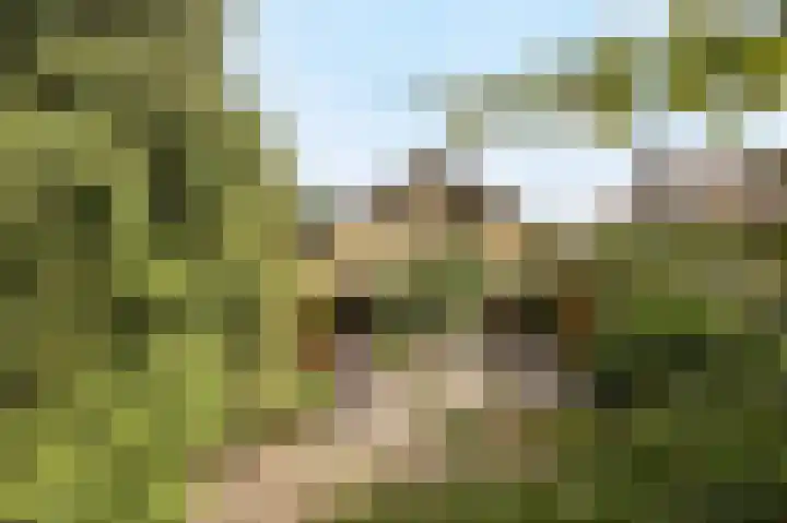 Margrietstraat 13 Bosschenhoofd thumbnail 35