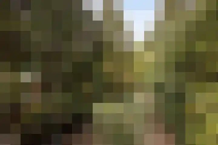 Margrietstraat 13 Bosschenhoofd thumbnail 36