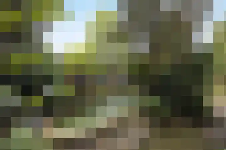 Margrietstraat 13 Bosschenhoofd thumbnail 37