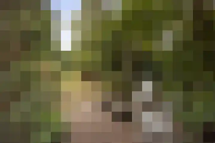 Margrietstraat 13 Bosschenhoofd thumbnail 38