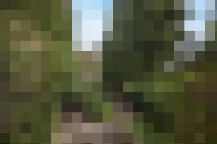 Margrietstraat 13 Bosschenhoofd thumbnail 39
