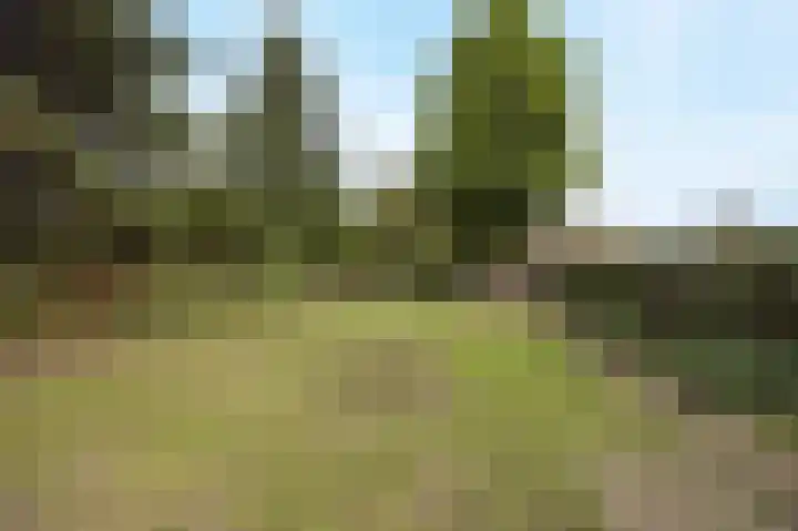 Margrietstraat 13 Bosschenhoofd thumbnail 4