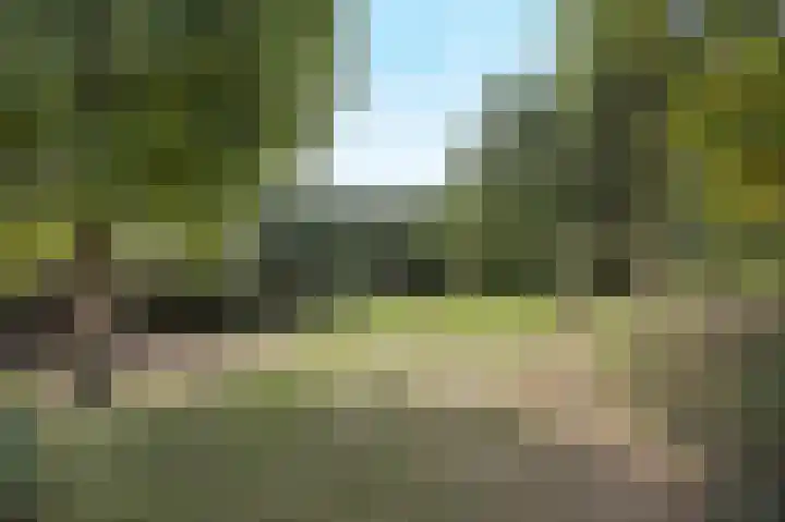 Margrietstraat 13 Bosschenhoofd thumbnail 41