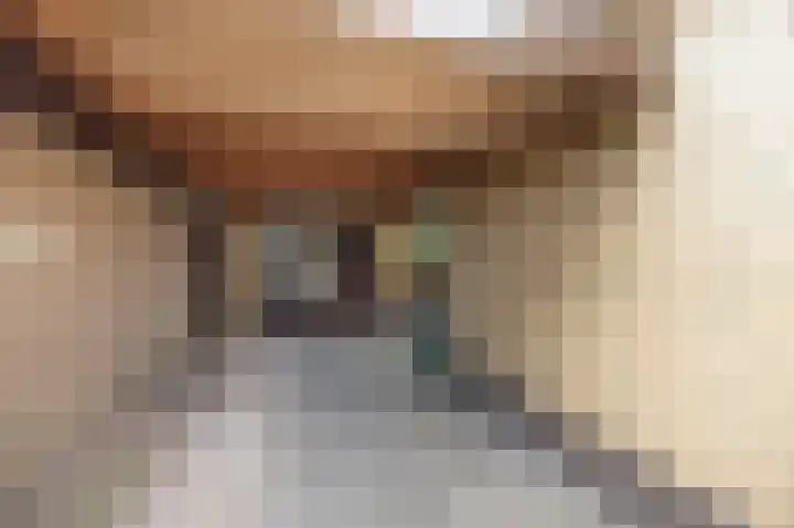 Margrietstraat 13 Bosschenhoofd thumbnail 48
