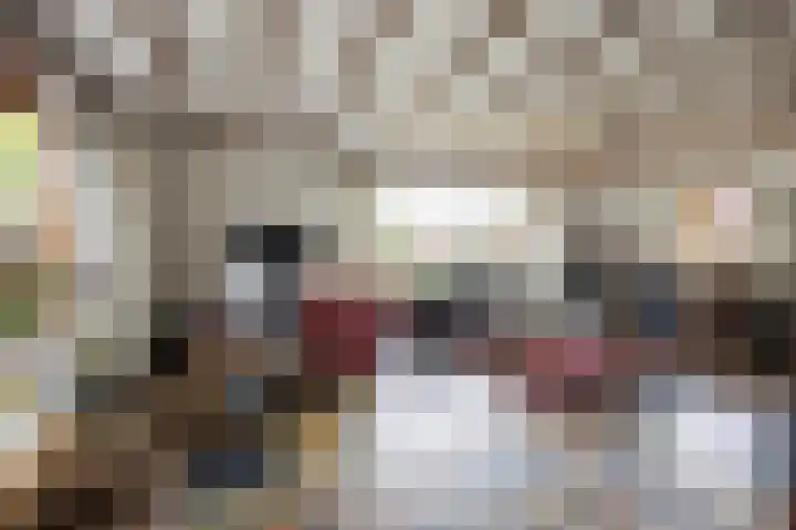 Margrietstraat 13 Bosschenhoofd thumbnail 8