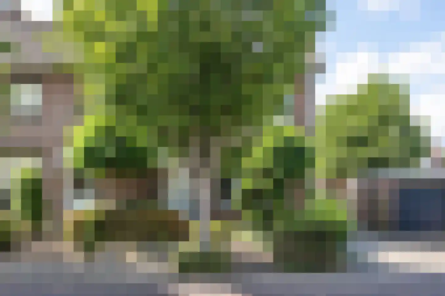 Margrietstraat 13 Merkelbeek thumbnail 39