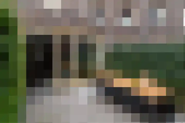 Margrietstraat 13 Rotterdam thumbnail 11