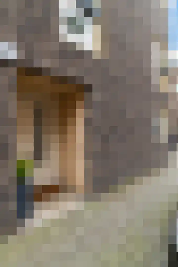 Margrietstraat 13 Rotterdam thumbnail 31