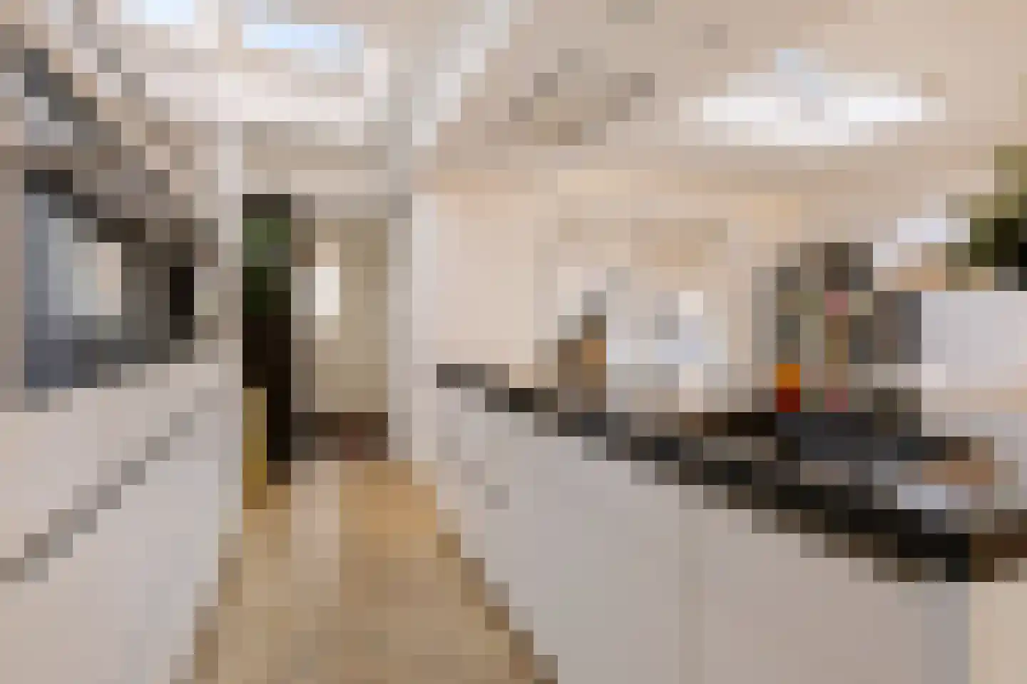 Margrietstraat 14 Aalsmeer thumbnail 11