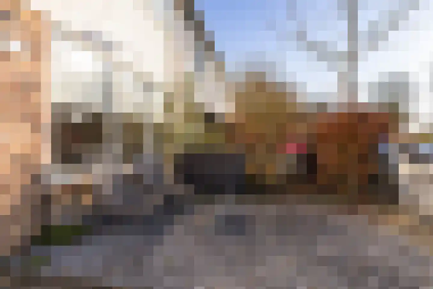 Margrietstraat 14 Aalsmeer thumbnail 37