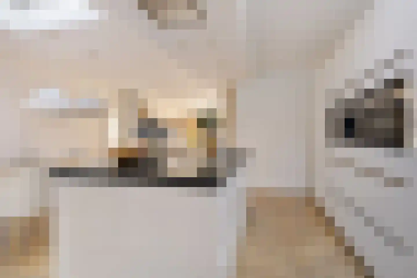 Margrietstraat 14 Aalsmeer thumbnail 5