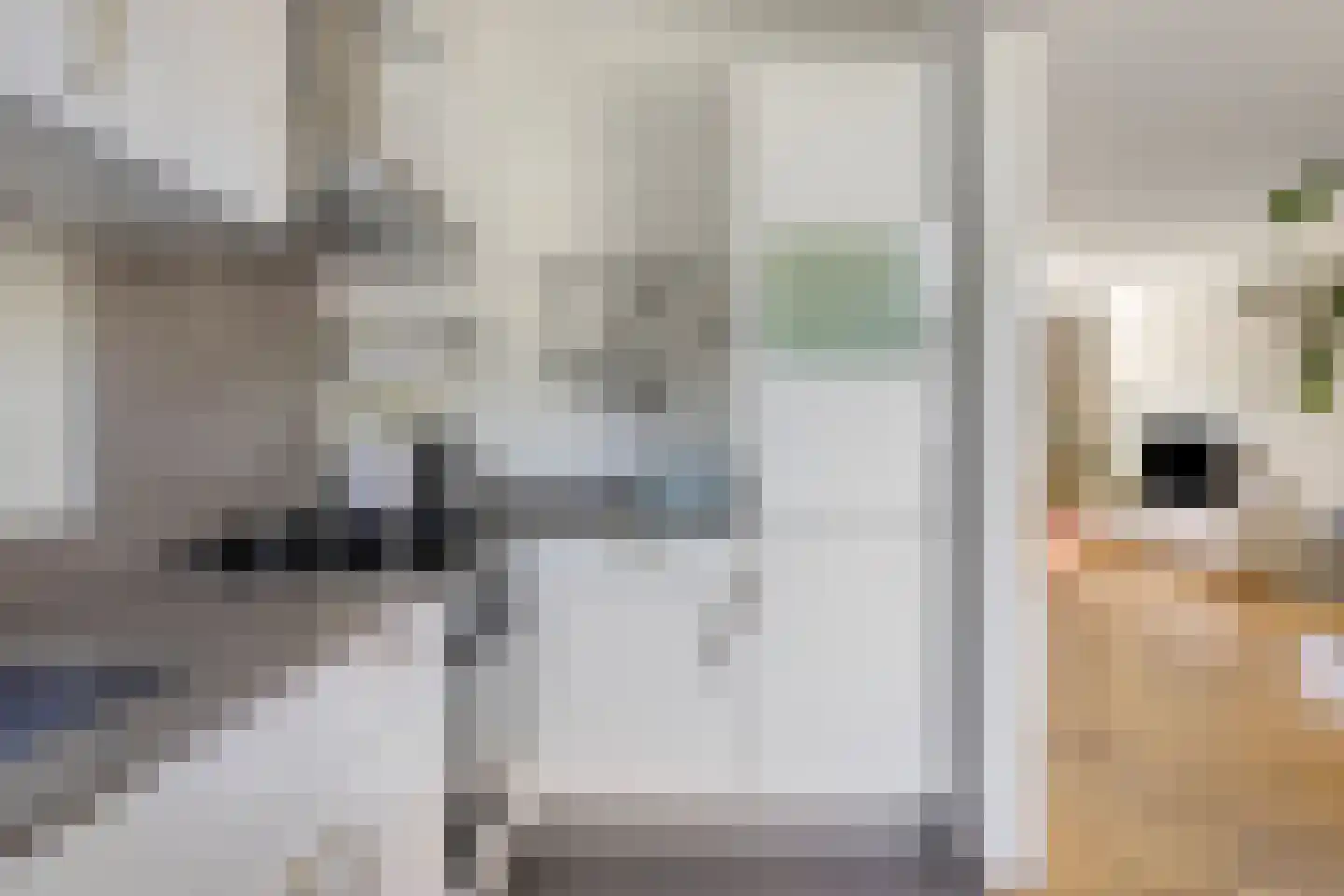 Margrietstraat 15 Arnhem thumbnail 15