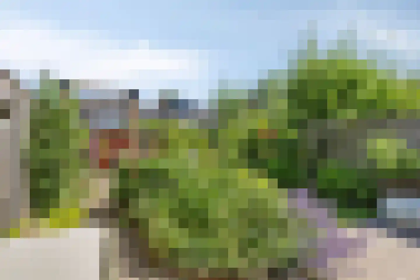 Margrietstraat 15 Arnhem thumbnail 34