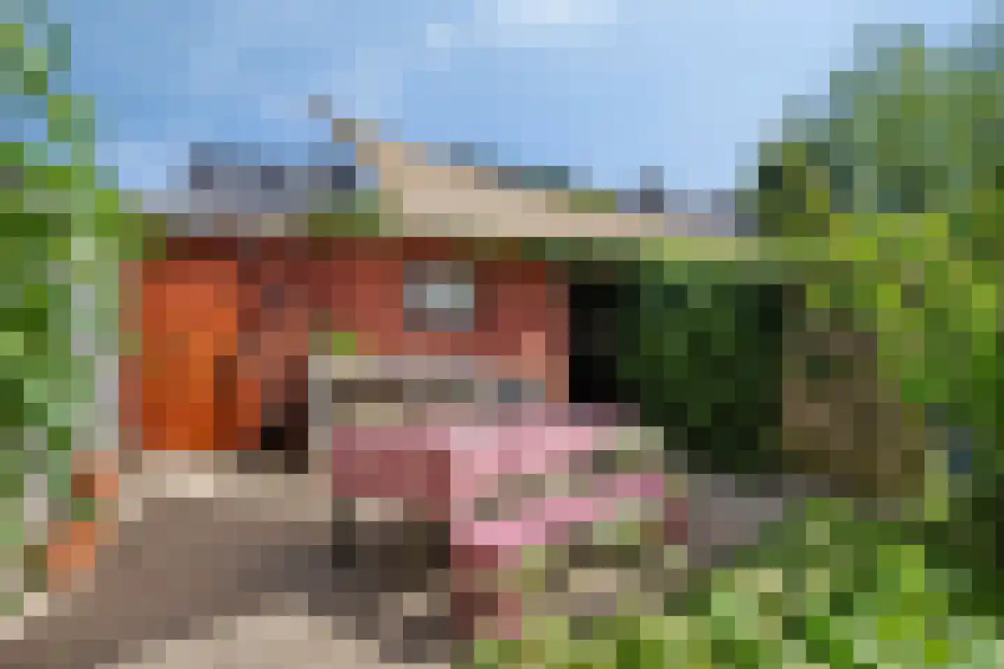 Margrietstraat 15 Arnhem thumbnail 37