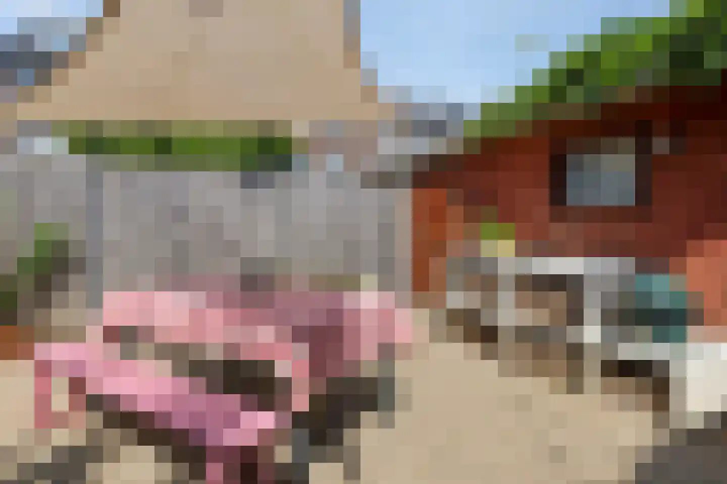 Margrietstraat 15 Arnhem thumbnail 38