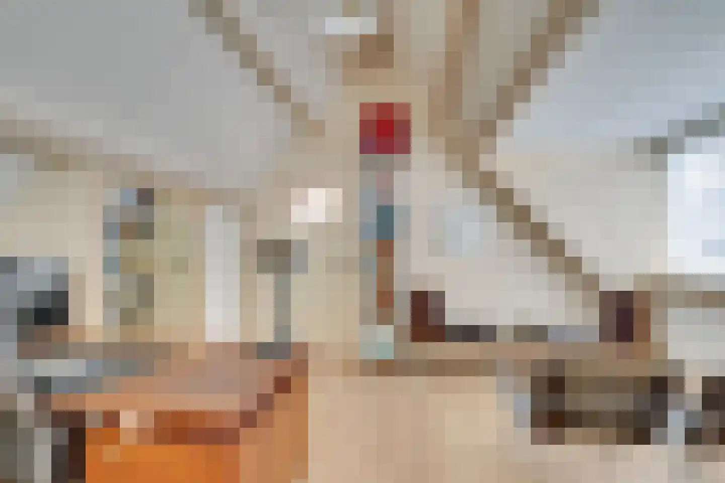 Margrietstraat 15 Nieuwegein thumbnail 41