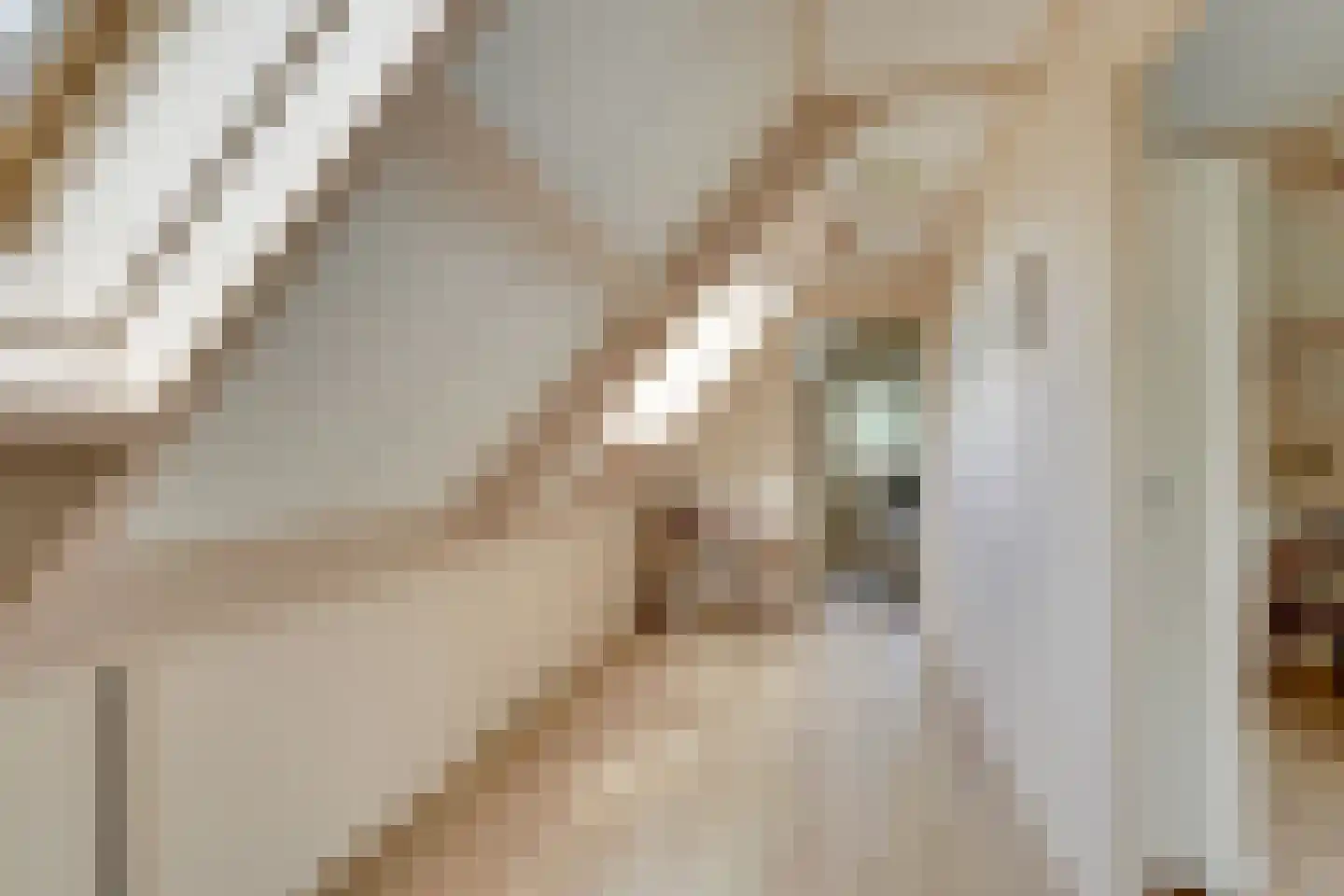 Margrietstraat 15 Nieuwegein thumbnail 42