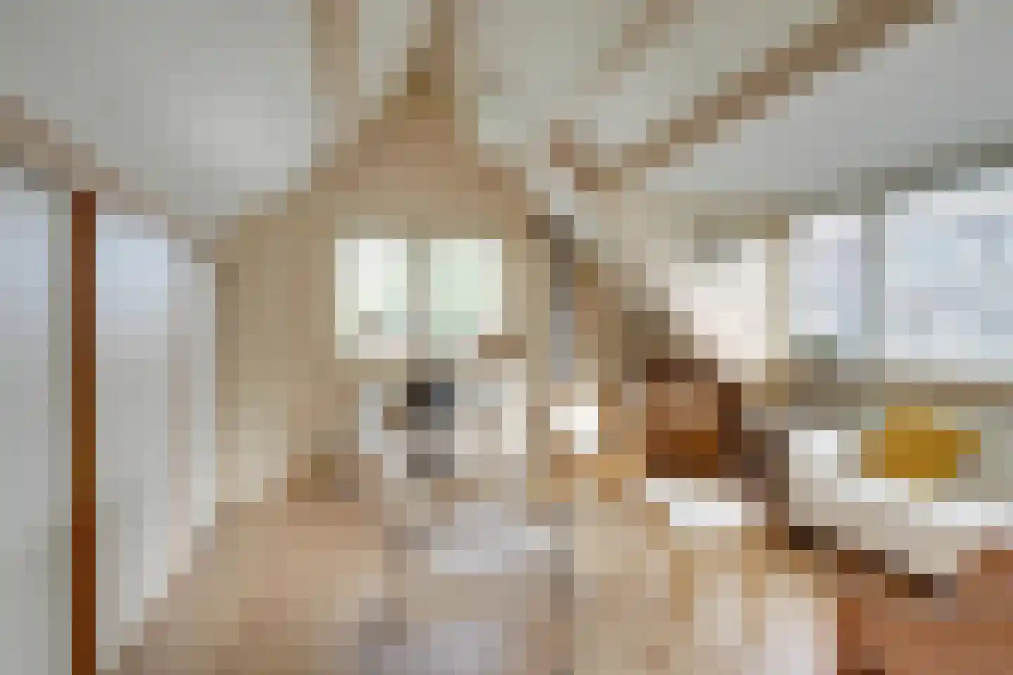 Margrietstraat 15 Nieuwegein thumbnail 43