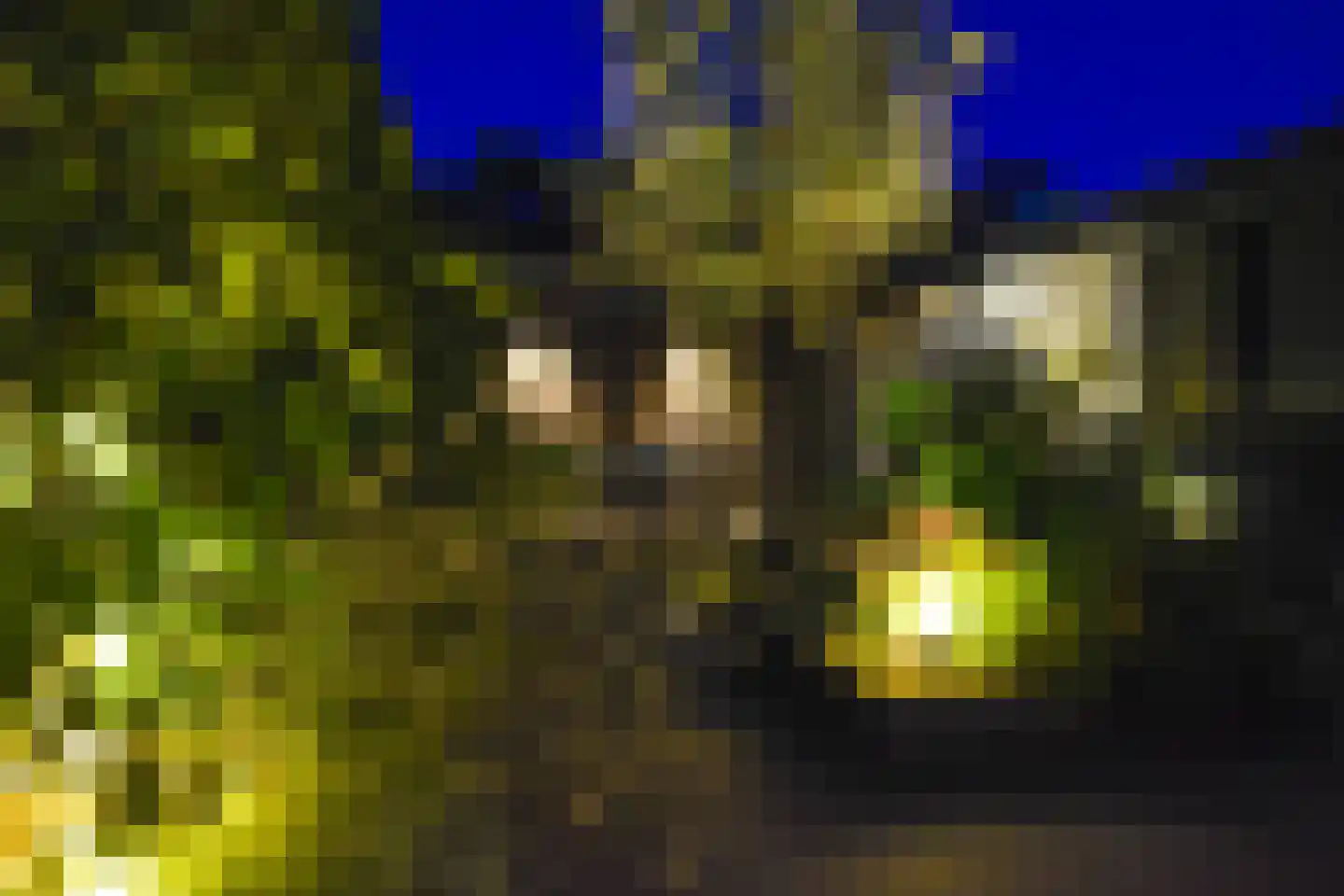 Margrietstraat 15 Nieuwegein thumbnail 59