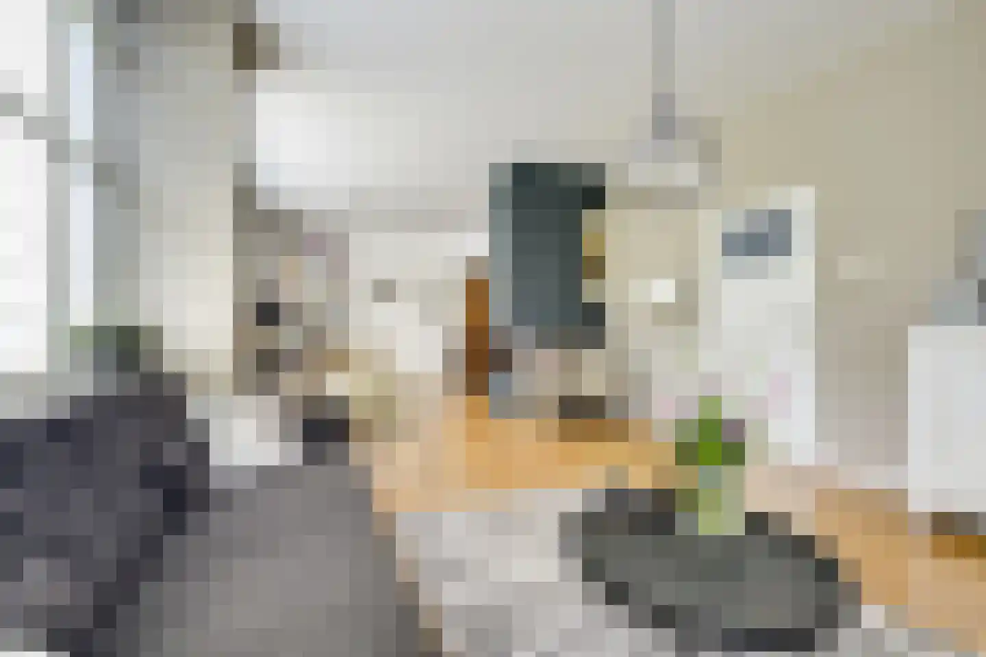 Margrietstraat 15 Nieuwegein thumbnail 9